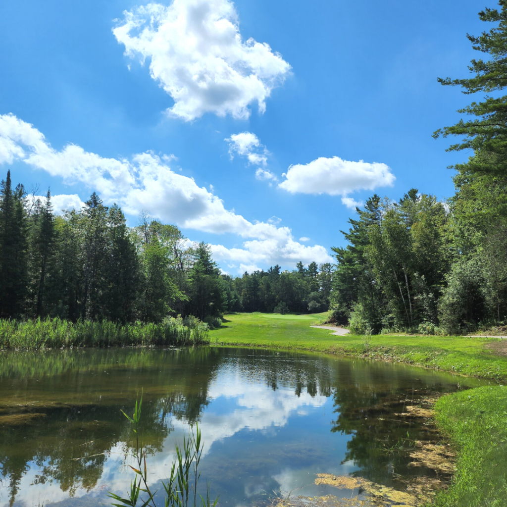 Image of Foxbridge Golf Course North Hole #8 looking over the water